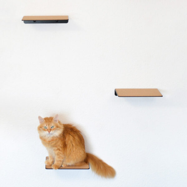 MinouTierliebe® Wandstufen für Katzen