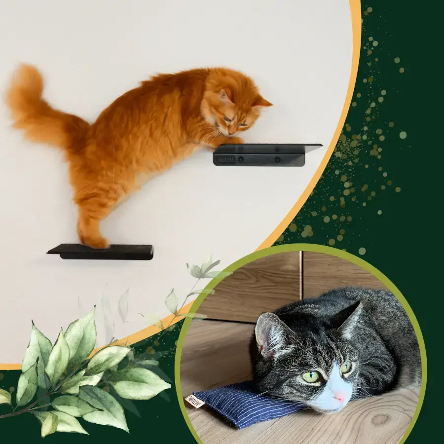 MinouTierliebe® - die Pfälzer Manufaktur für hochwertige Katzenmöbel und Wandelemente für Katzen für mobile Ansicht