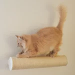 Kratzende Katze auf quer montierter Kratzsäule in Weiß von MinouTierliebe®