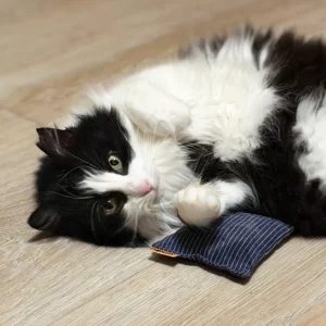 Katze entspannt sich auf Schmusesäckchen mit Matatabi von MinouTierliebe®