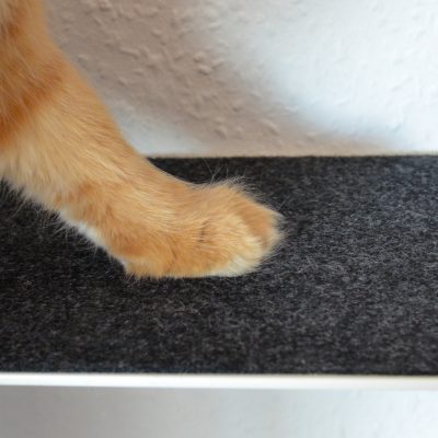Katzenpfote auf Kletterstufe mit Filzauflage anthrazit von MinouTierliebe®
